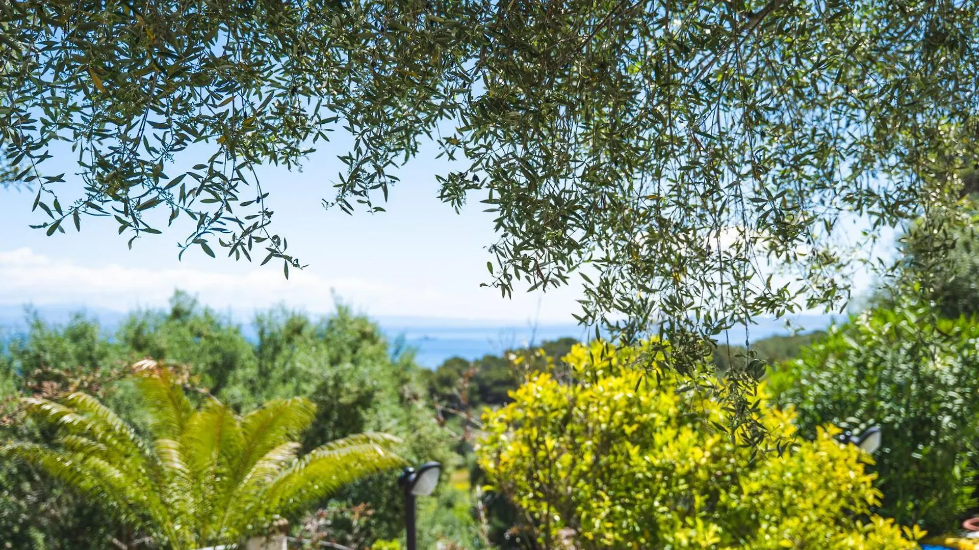 Hotel Paola Carloforte   Carloforte (Isola di San Pietro)