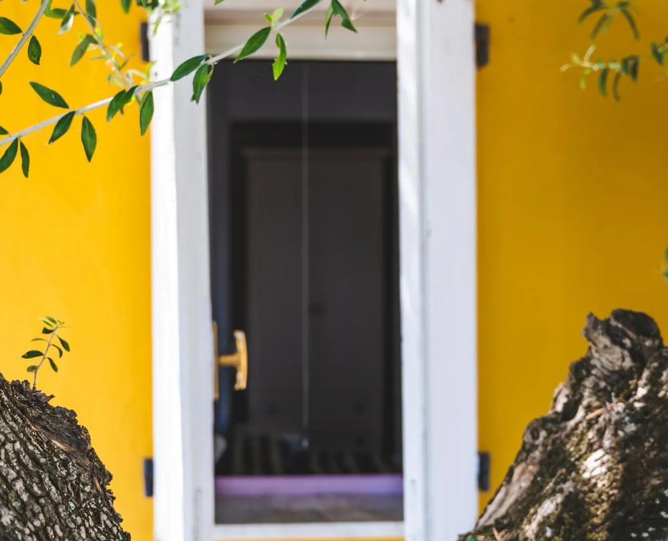 Hotel Paola كارلوفورتي
